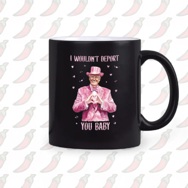 Trump Lover Mug, I Wouldn't Deport You Baby Mug2