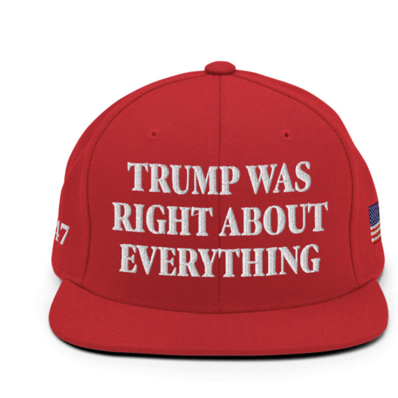 Trump Was Right About Everything: The Classic Snapback Hat 14 Trump Was Right About Everything Classic Snapback Hat