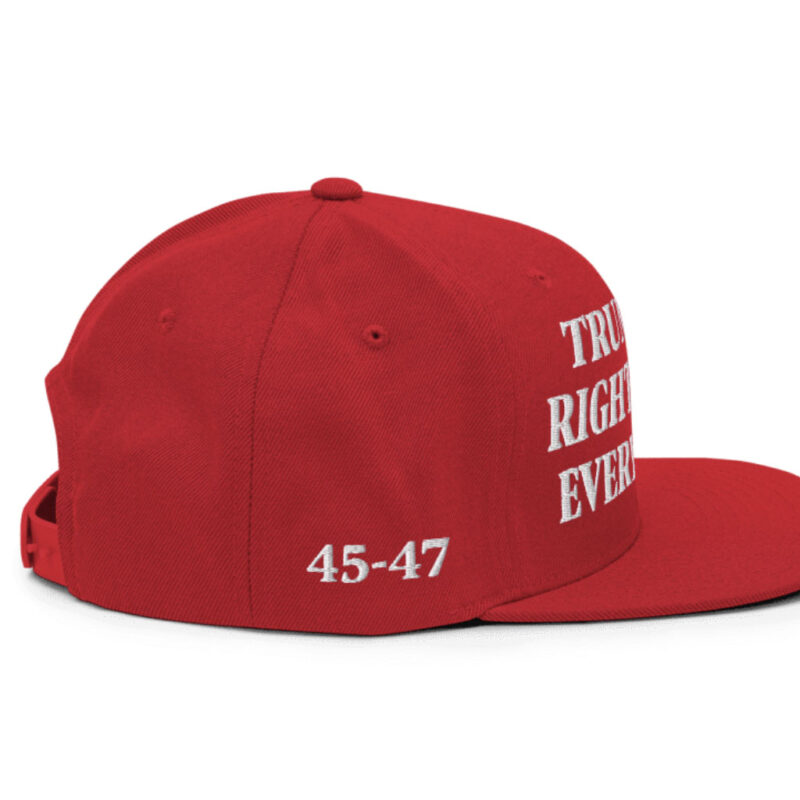 Trump Was Right About Everything: The Classic Snapback Hat 15 Trump Was Right About Everything Classic Snapback Hat