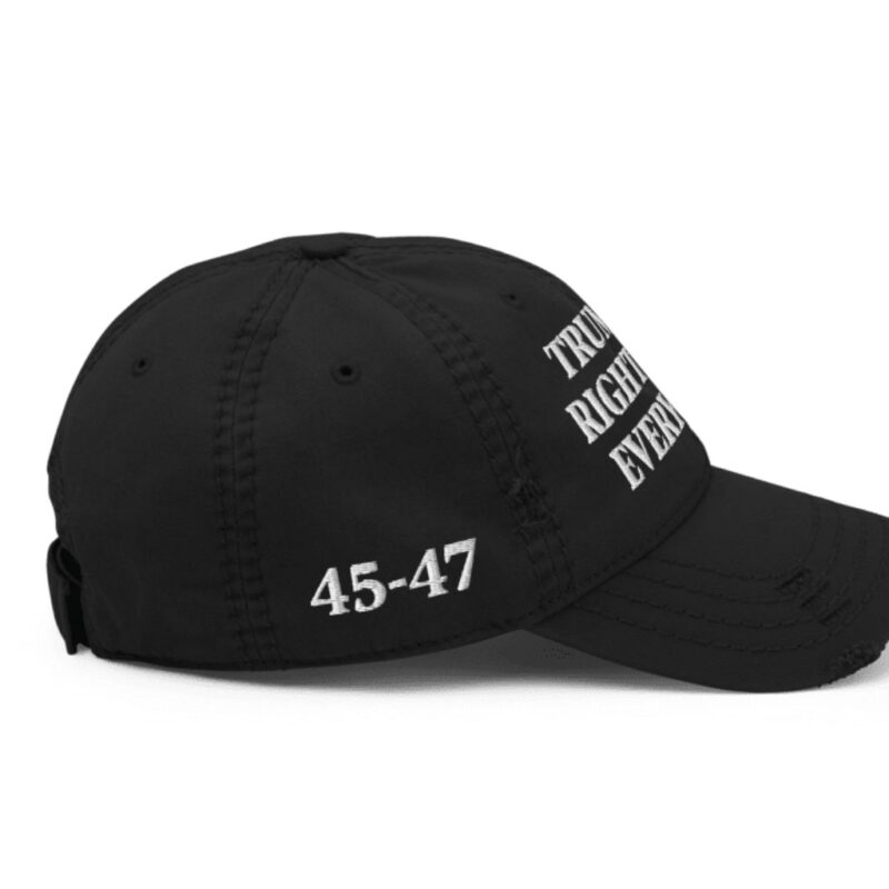 Trump Was Right About Everything: Distressed Dad Hat 12 Trump Was Right About Everything Distressed Dad Hat