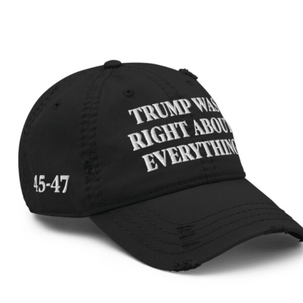 Trump Was Right About Everything Distressed Dad Hat