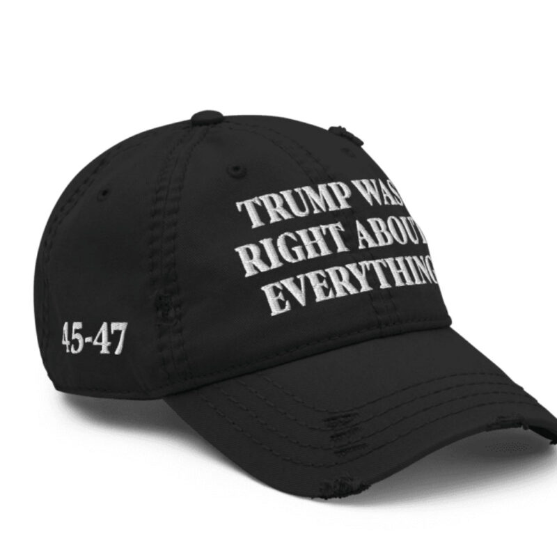Trump Was Right About Everything: Distressed Dad Hat 14 Trump Was Right About Everything Distressed Dad Hat