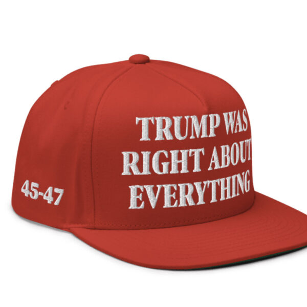 Trump Was Right About Everything Flat Bill Cap